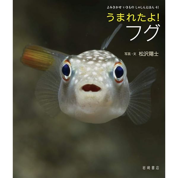 フグの飼い方―淡水フグから海水フグまで | アクアライフ編集部, アクア